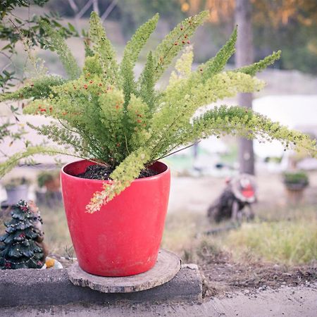 Villa Chetrus Casa En Plena Naturaleza Rubí Eksteriør bilde